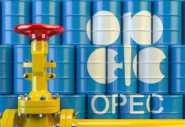 Tổ chức OPEC giảm dự báo nhu cầu dầu mỏ toàn cầu năm 2021